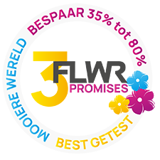 flwrpromises